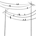 Print Birds On The Wires One Line Draw Vector Illustration