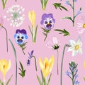 Seamless floral yellow crocus and many kind of spring flowers seamless pattern on pink background.