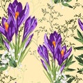 Seamless floral violet crocus flowers and herbs pattern on a yellow background. Royalty Free Stock Photo