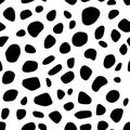 Cow skin. Dalmatians dog spots. animal skin seamless pattern. Black and white. Animal print texture. Royalty Free Stock Photo