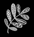 Vector illustration leaves and in doodle style. Floral, ornate, decorative, tribal vector design elements Royalty Free Stock Photo