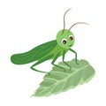 Cartoon grasshopper on green leaf.