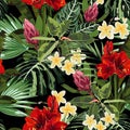 Tropical red lilies, plumeria and protea flowers seamless pattern with bright green leaves on black background. Royalty Free Stock Photo