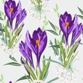 Violet crocus flowers with herbs bouquet seamless pattern. Watercolor style Illustration. Light background.