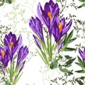 Violet crocus flowers with grasses bouquet seamless pattern. Watercolor style Illustration. Royalty Free Stock Photo