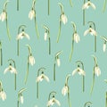 Seamless pattern with white snowdrop flowers.