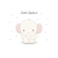 The little lovely elephant.