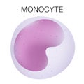 Type of white blood cell - Monocyte Royalty Free Stock Photo