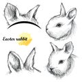 Vector set with graphic sketch of baby rabbit and ears in black isolated on white background. Silhouette of decorative cute bunny. Royalty Free Stock Photo