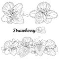 Vector set with outline Strawberry, bunch, berry, flower and ornate leaf in black isolated on white background. Fruit design.