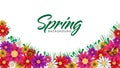 Spring time flowers sale banner and background.