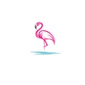 Flamingo logo design pink- Stock vector illustration