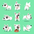 Vector cartoon character cute bull terrier dog poses