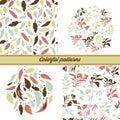 A set of delicate floral patterns and emblems on a white background with floral elements and decorative