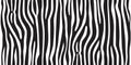 Stripe animal jungle texture zebra vector black white print background seamless repeat