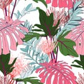 Pink line protea flowers with exotic pink monstera and green tropical leaves, white background. Royalty Free Stock Photo