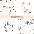 A set of delicate floral patterns and emblems on a white background with floral elements and decorative feathers