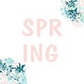 Cute spring bouquets, a variety of spring flowers on white background. Spring composition for cards, invitations