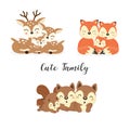 Set of cute family woodland animals. Foxes,Deer,Squirrels cartoon.