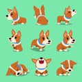 Vector cartoon character corgi dog poses