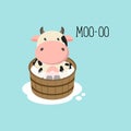 Cute baby cow in wood-tub.