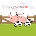 Happy Valentines Day background for greeting card. Couple of cute cows in love on green grass field.