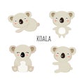 Collection of cute koalas in different pose. Vector illustration.