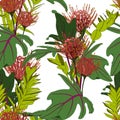 Exotic green tropical palm leaves and protea flowers, white background. Royalty Free Stock Photo
