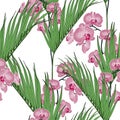 Exotic green palms leaves and pink orchid flowers branch, white background. Royalty Free Stock Photo