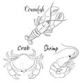 Beautiful Sea Set Seafish animal vector illustration