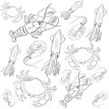 Beautiful Animals Set Seafish animal vector illustration