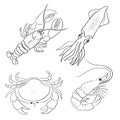 Beautiful Art Sea Seafish animal vector illustration