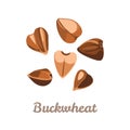Buckwheat grain icons isolated on white background.