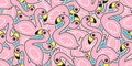 Flamingo seamless pattern vector pink Flamingos exotic bird summer tropical cartoon tile background repeat wallpaper scarf isolate Royalty Free Stock Photo