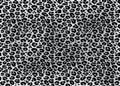 Jaguar texture repeating seamless pattern snow leopard jaguar white leopard vector Royalty Free Stock Photo