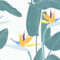 Exotic blue palms leaves and strelitzia flowers, white background. Floral seamless pattern. Royalty Free Stock Photo