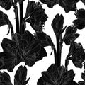 Hand drawn sketch illustration of black lilies flowers seamless pattern.