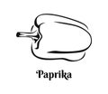 Paprika icon. Black and white image. Vector pepper vegetable illustration