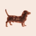 Dachshund dog, 3d abstract paper cut vector 10 eps