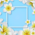 Creative tropical flower with frame vector eps 10