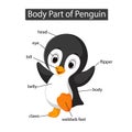 Diagram showing body part of penguin