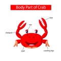 Diagram showing body part of crab