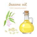 Sesame oil in a glass bottle. Vector illustration in cartoon simple flat style.