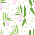 Sesame plant seamless pattern. Branches with green leaves and flowers, seeds.