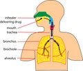 Creative human body design with touch points words