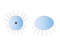 Open and close blue evil eye vector - symbol of protection