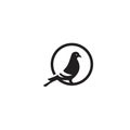 Pigeon dove on the ring flat logo icon design vector illustration template Royalty Free Stock Photo