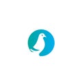 Pigeon dove on a circle flat logo icon design vector illustration template Royalty Free Stock Photo