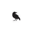 Raven crow black color with isolated background logo icon design vector illustration Royalty Free Stock Photo