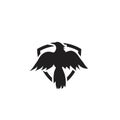 Flying Raven crow on shield black isolated background logo icon design vector illustration Royalty Free Stock Photo